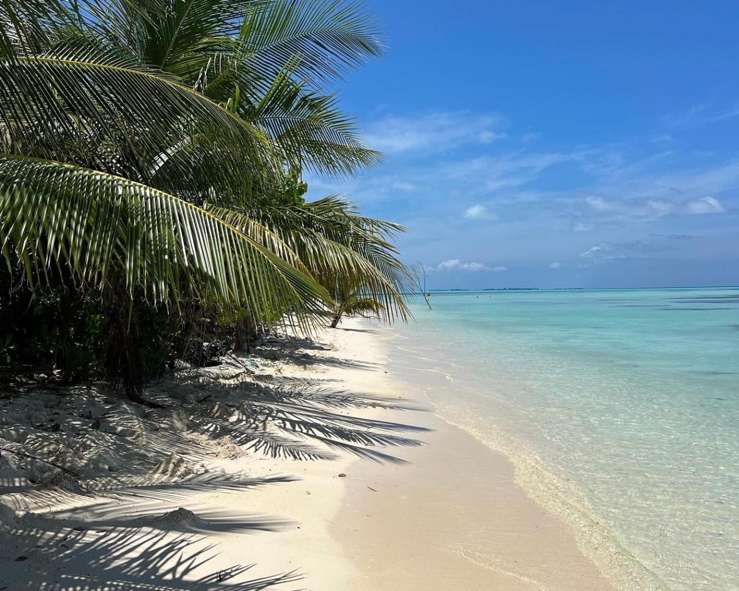 Heron Beach Hotel - The Best Maldivian Getaway In Dhiffushi,Maldives Εξωτερικό φωτογραφία