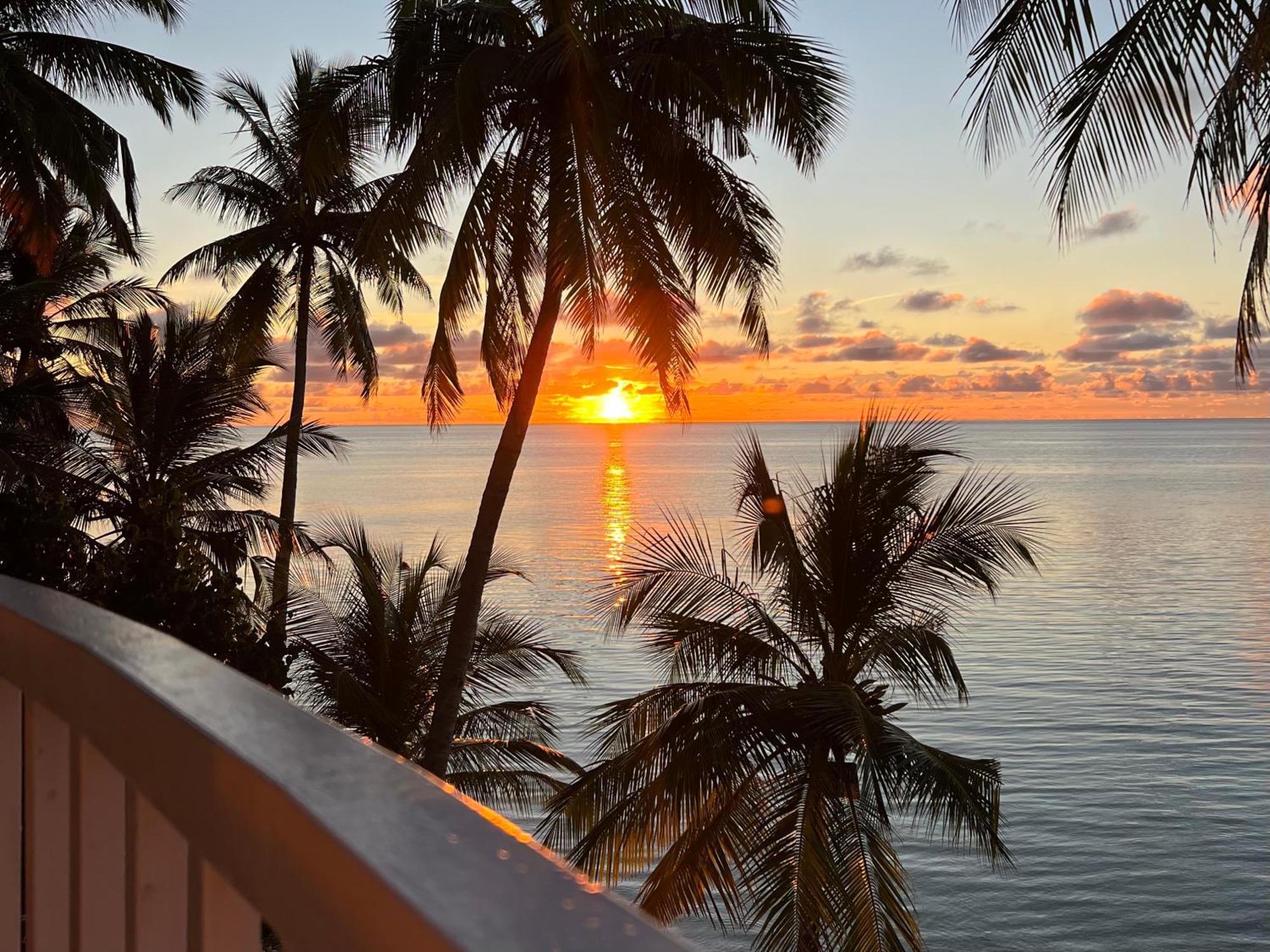 Heron Beach Hotel - The Best Maldivian Getaway In Dhiffushi,Maldives Εξωτερικό φωτογραφία